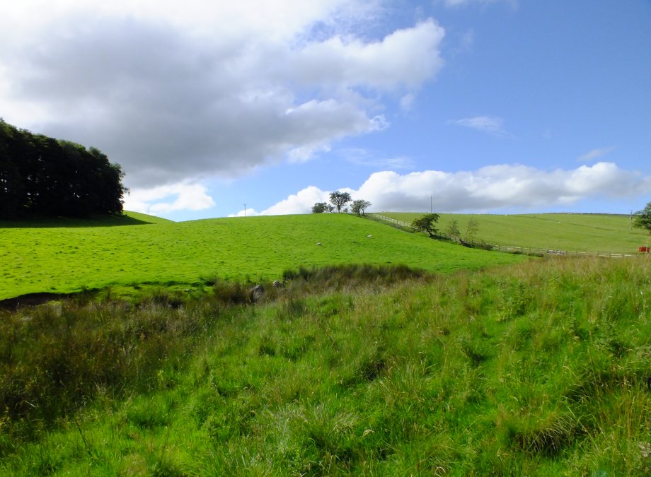 Yorkshire moors