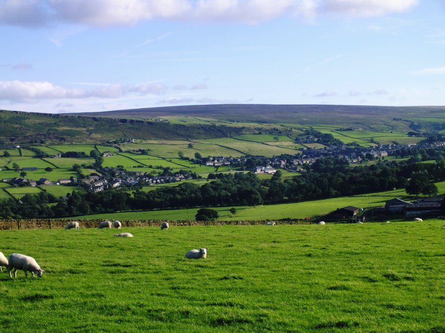 North Yorkshire countryside