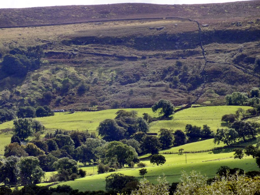 Nesfield, North Yorkshire 2012